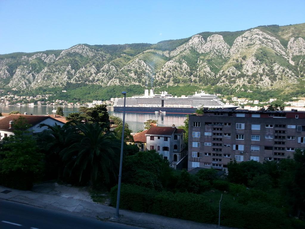 Apartment Kralj Kotor Værelse billede