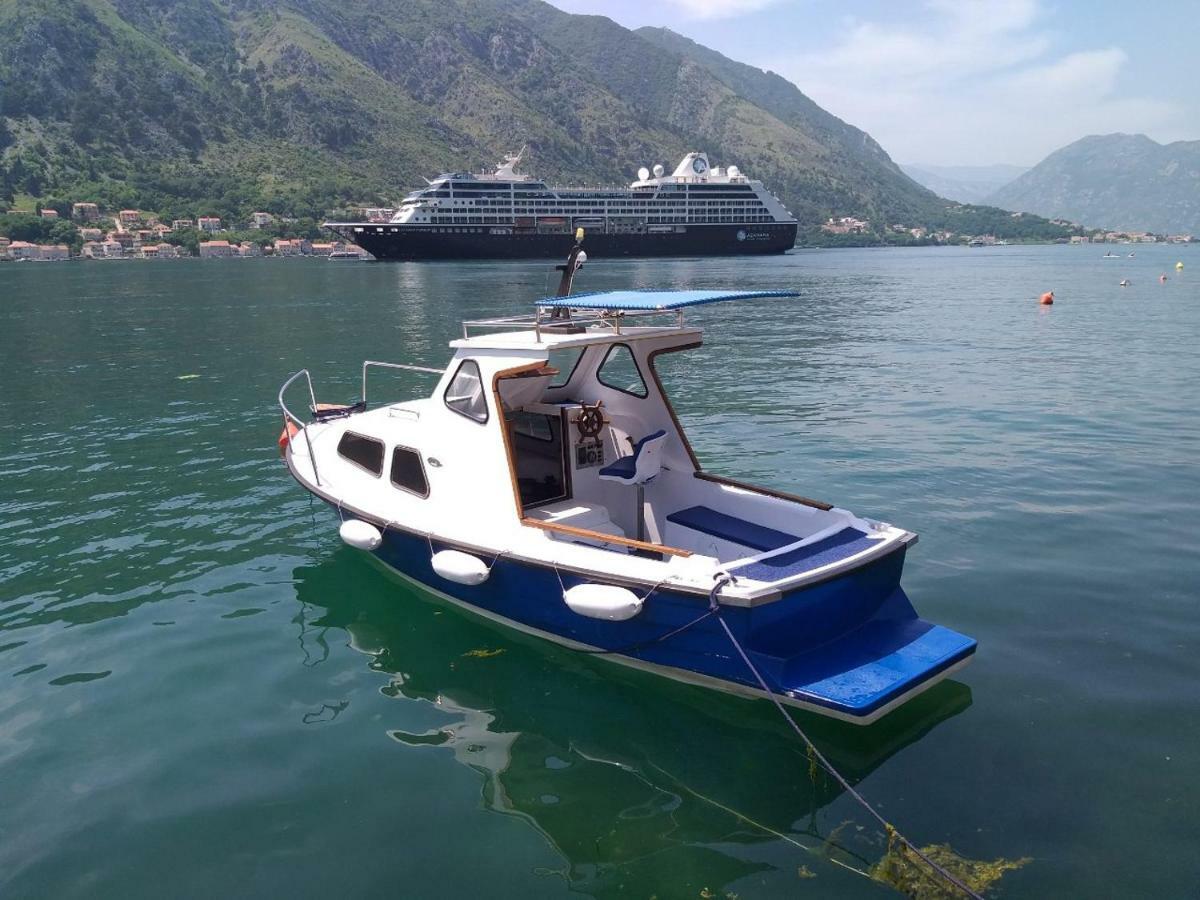Apartment Kralj Kotor Eksteriør billede